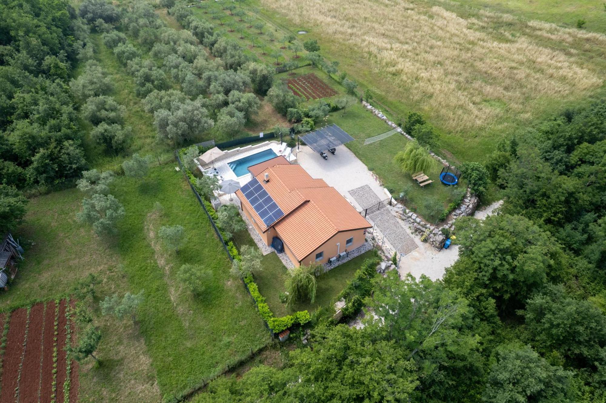 Villa Pendolina With Private Pool Buje Dış mekan fotoğraf