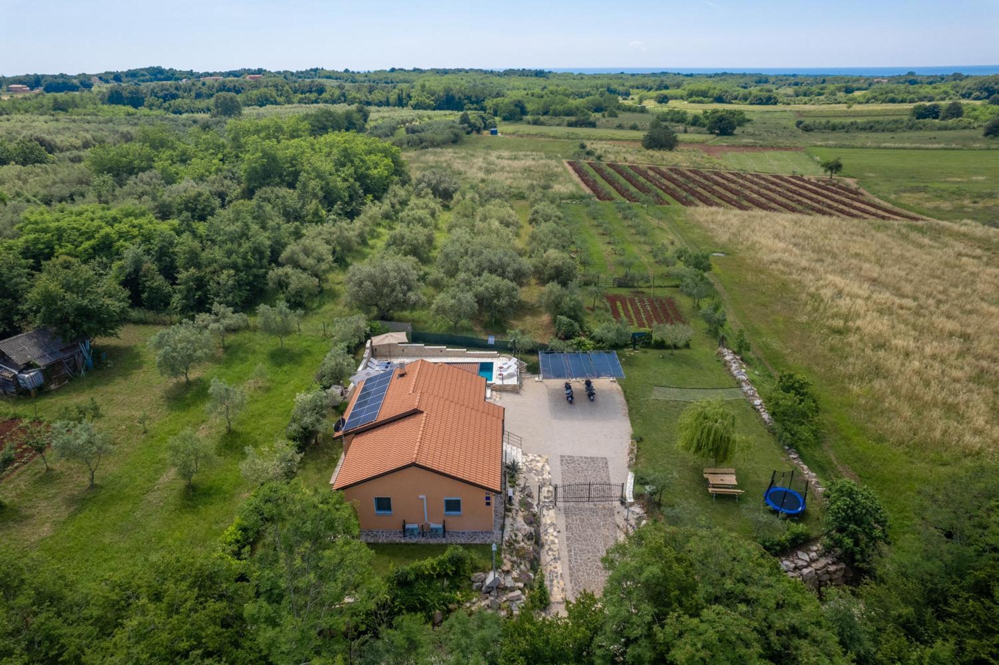 Villa Pendolina With Private Pool Buje Dış mekan fotoğraf